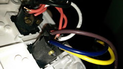 content gallery 1