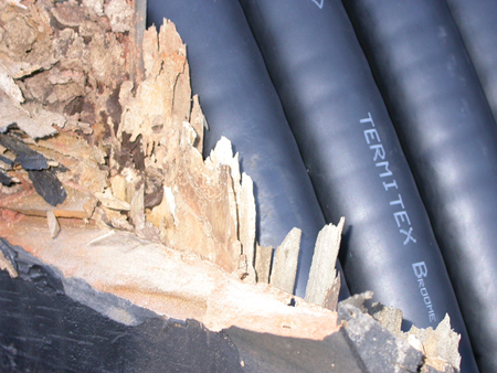 Termites attack cable drum photo 1