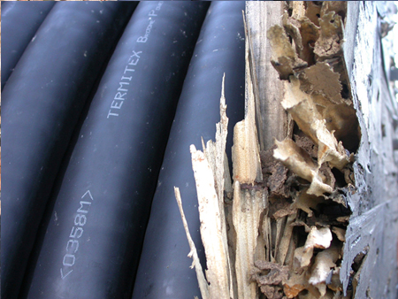 Termites attack cable drum photo 5