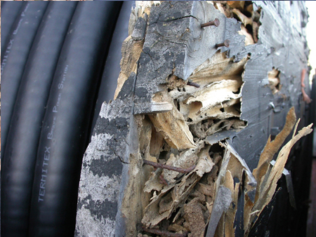 Termites attack cable drum photo 6