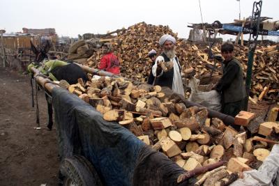 Un paquistaní traslada leña en un carro. EFE/Matiullah Achazkai