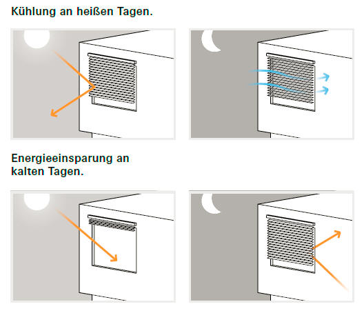 content gallery 1