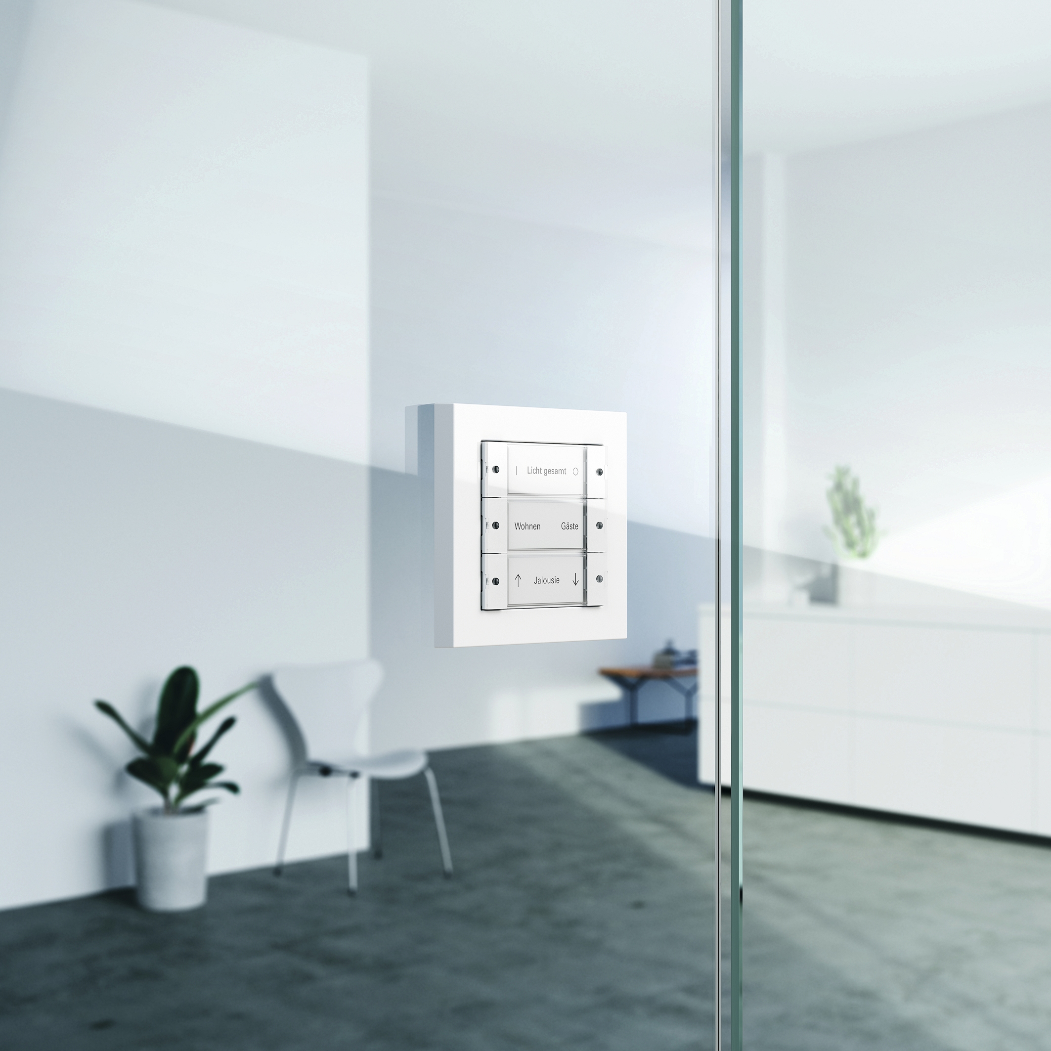 content gallery 1