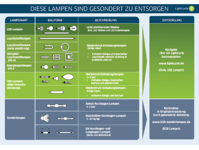 content gallery 1