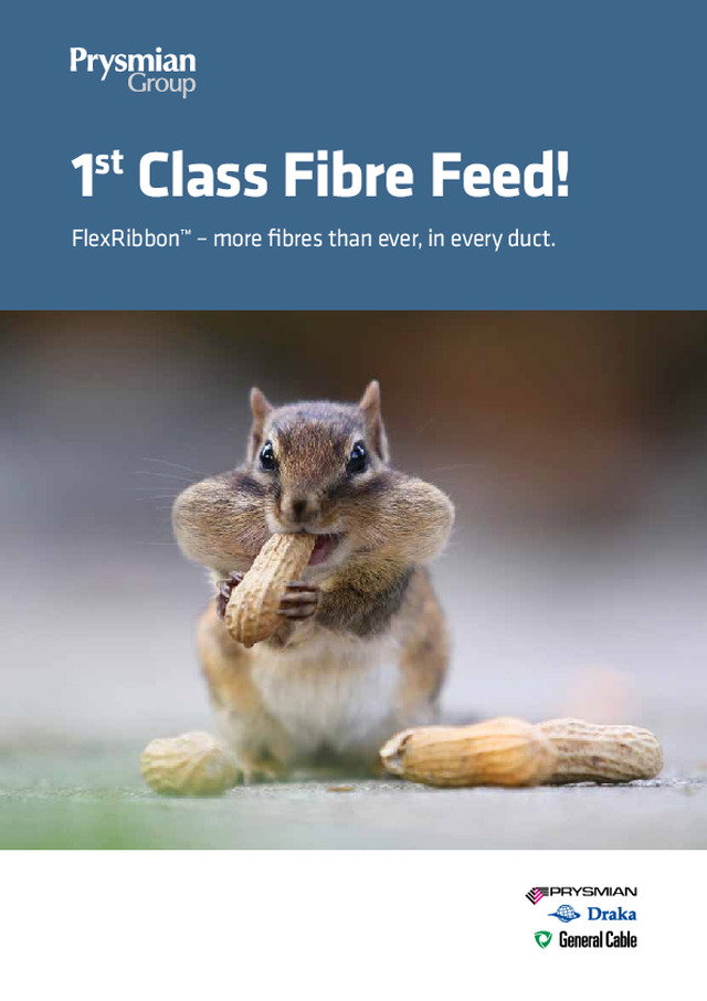 FlexRibbon