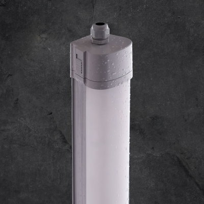 content gallery 1
