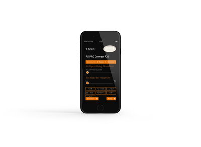 content gallery 1
