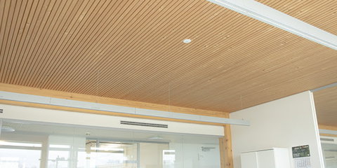 DALI-Lichtsteuerung:  Der zukunftssichere Standard