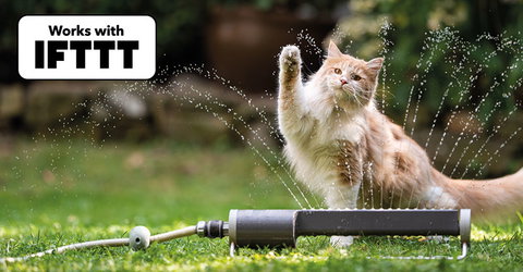 Wasser marsch, aber smart: mit LUXORliving und IFTTT