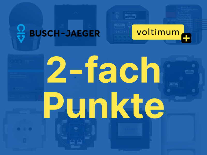 BUSCH-JAEGER 2-fach Punkte