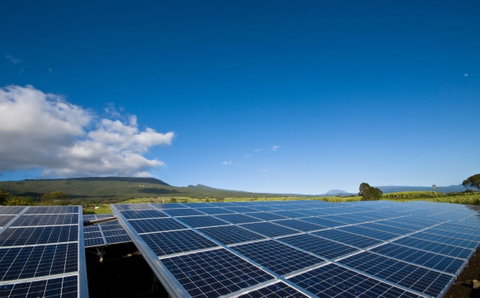 Nexans está en vías de conseguir que el 100% de su electricidad proceda de fuentes renovables