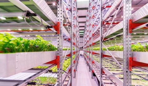 Signify presenta la iluminación como medio para mejorar la producción agrícola y optimizar los recursos en Infoagro 2023