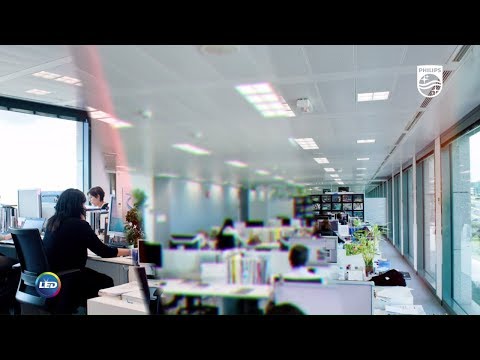 Philips Oficinas
