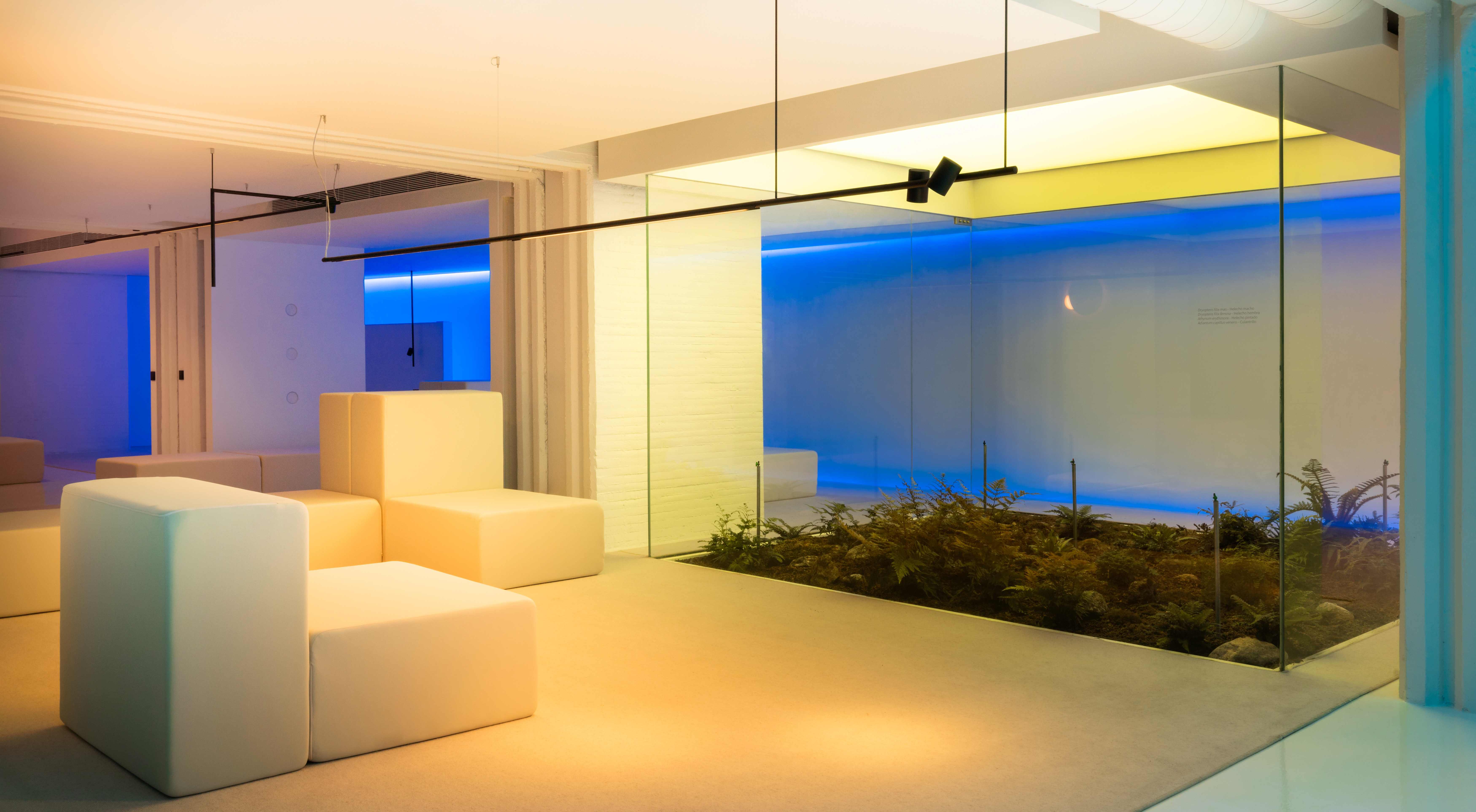 content gallery 1