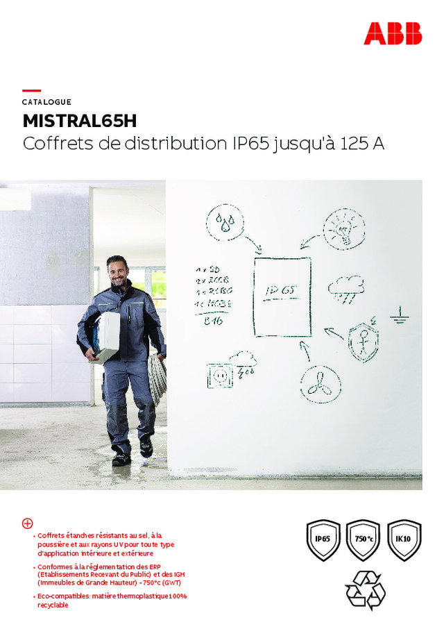 MISTRAL65H : coffrets de distribution IP65 jusqu'à 125 A