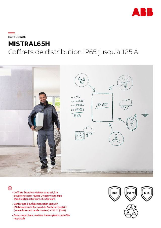 Coffrets de distribution : optez pour MISTRAL65H, série de coffrets étanches IP65 jusqu'à 125 A adaptée aux environnements difficiles