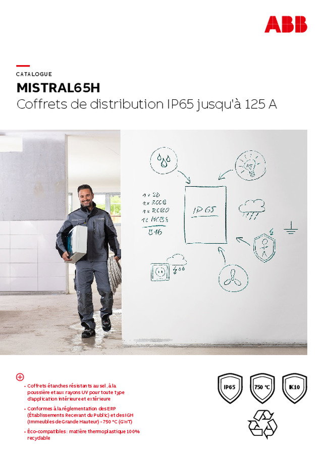 Coffrets de distribution : optez pour MISTRAL65H, série de coffrets étanches IP65 jusqu'à 125 A adaptée aux environnements difficiles