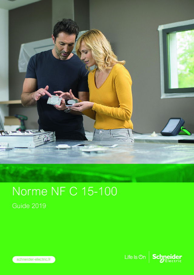 Catalogue Schneider Norme NF C 15-100