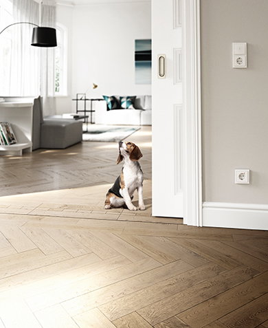 ABB to launch wireless home automation solution