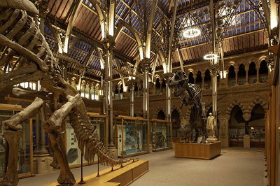 content gallery 1