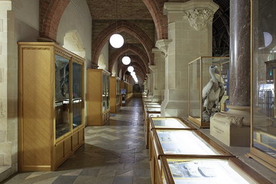 content gallery 1