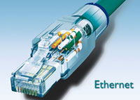 8 pin RJ 45 Cat 5e Plug Connector needs no tools