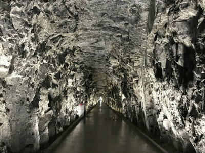 content gallery 1