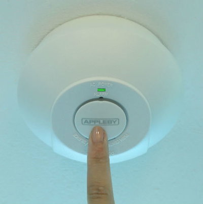 content gallery 1