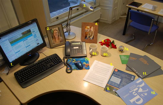 Stephen Matthews' Desk