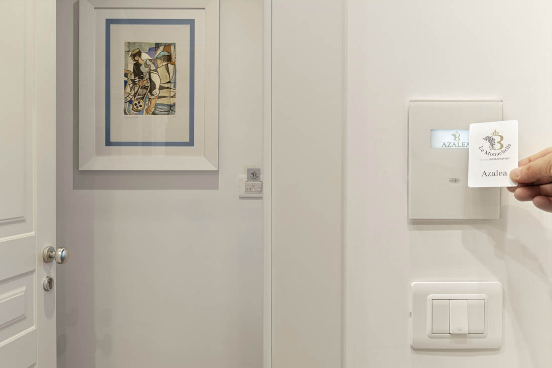 content gallery 1