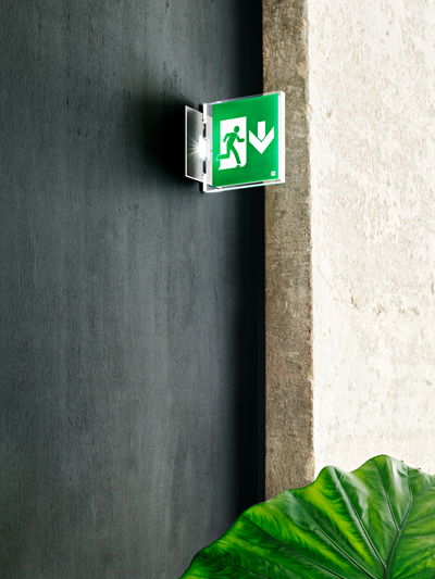 content gallery 1