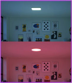 content gallery 1