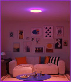 content gallery 1