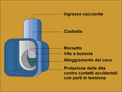 content gallery 1