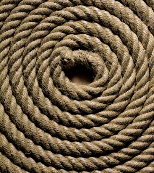 Dimensionamento del neutro