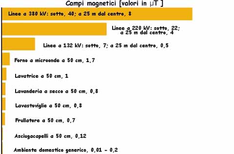 content gallery 1