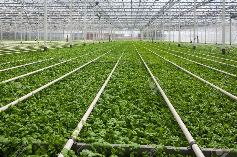 Nursery benefits from EECA Award win as new awards open