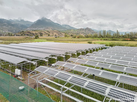 Eaton e Insolight exploram futuro da agricultura sustentável com promoção de soluções de energia solar nesta área