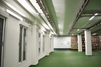 content gallery 1
