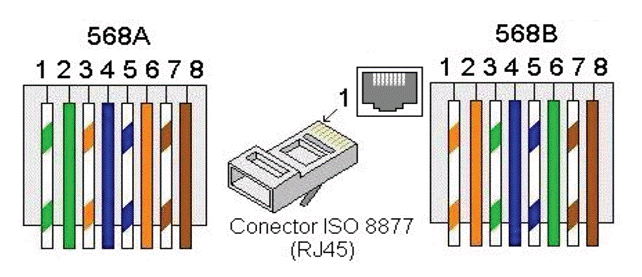 content gallery 1