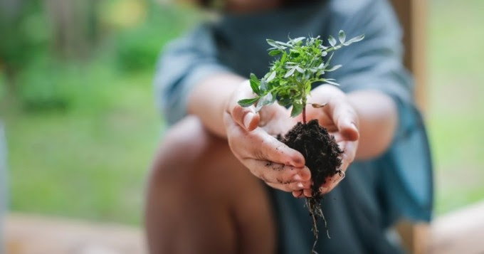 Programa de Impacto de Sustentabilidade da Schneider Electric continua a progredir no primeiro trimestre de 2024