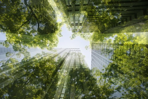 Schneider Electric defende transição energética na Climate Week NYC