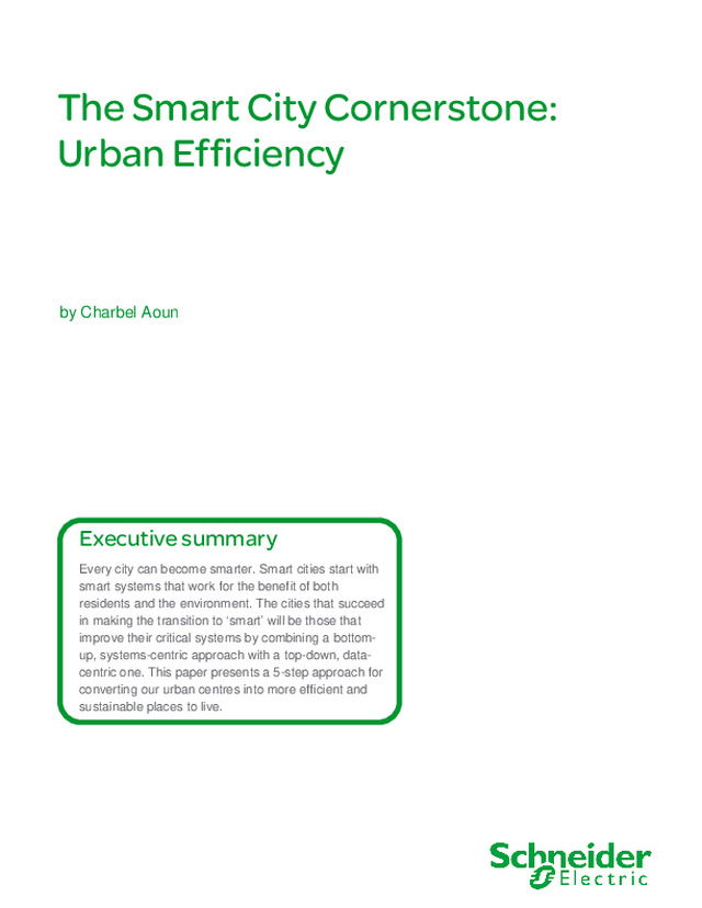 The smart cities cornerstone: urban efficiency