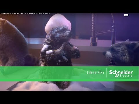 Life Is On by Schneider Electric - Raccoon Dance Party!