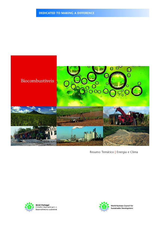Biocombustíveis | Energia e clima