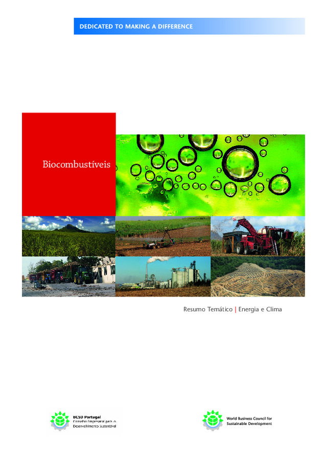 Biocombustíveis | Energia e clima