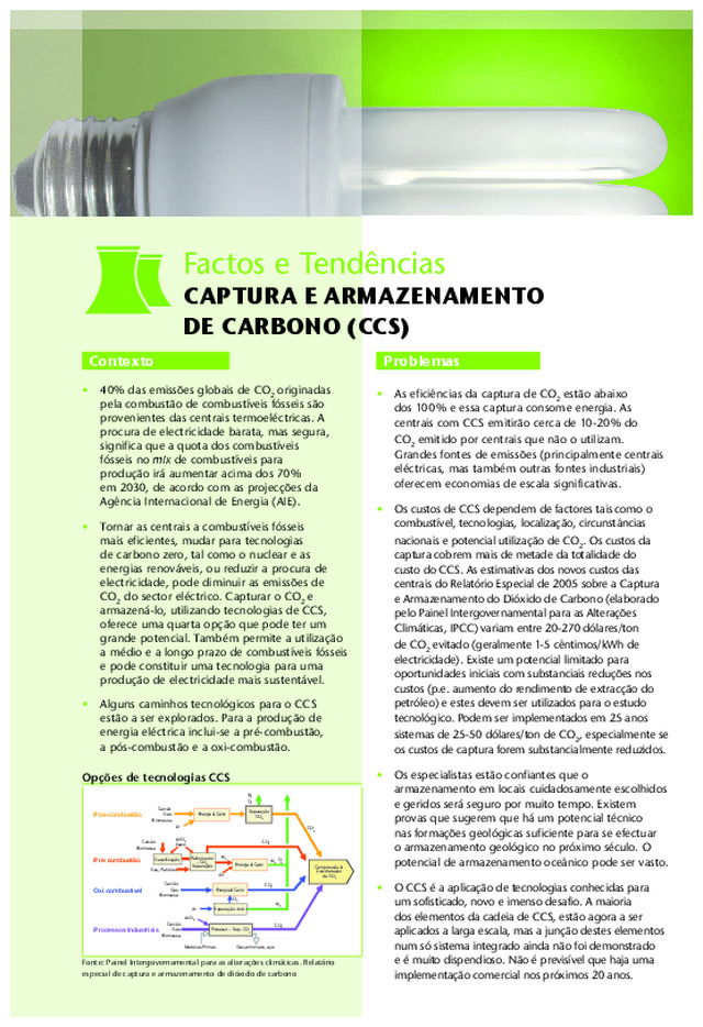 Captura e armazenamento de carbono