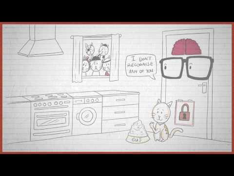 A porta de gato inteligente e a Internet das Coisas (IoT)