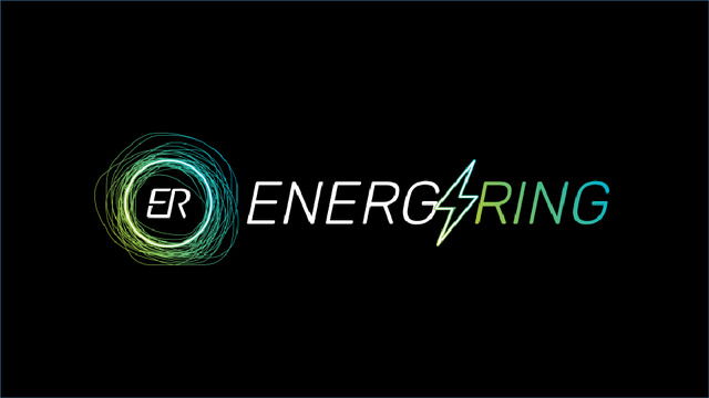 Energy Ring - Plataforma para Gestão do Autoconsumo