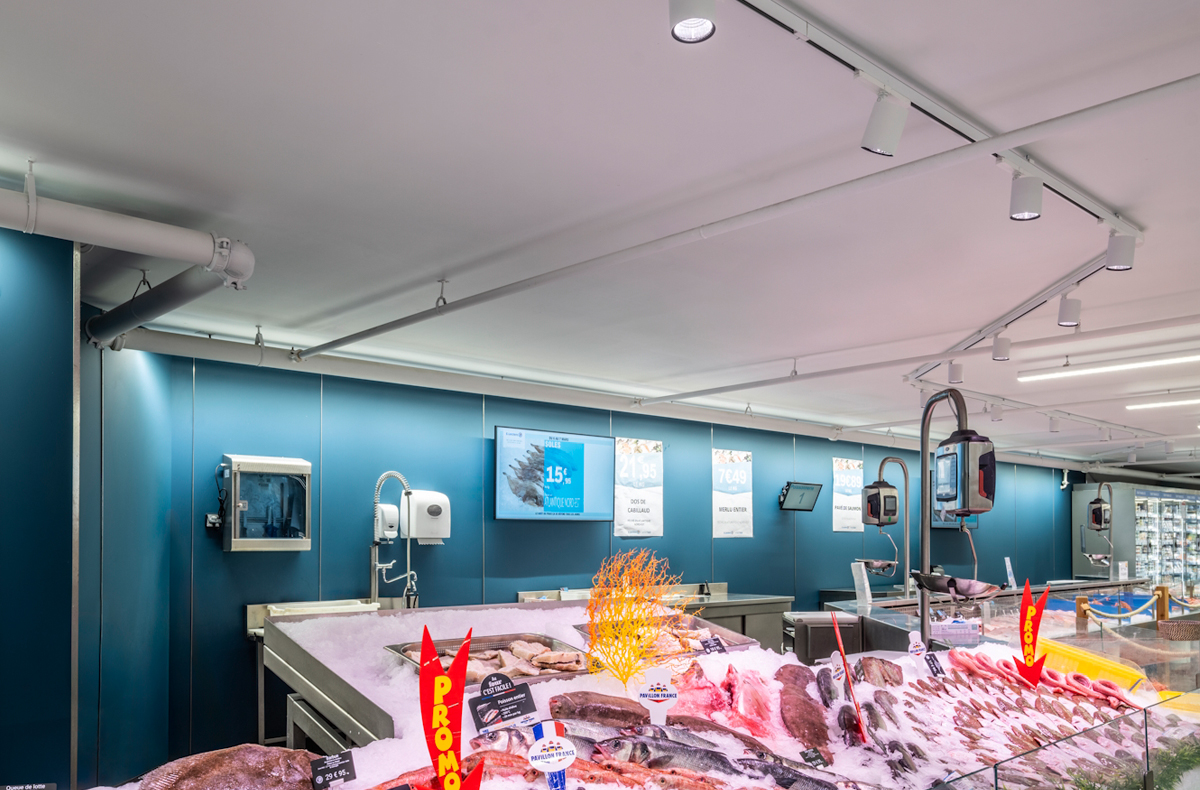 content gallery 1